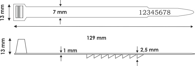 EPAPHUS SEAL IN YA disegno tecnico