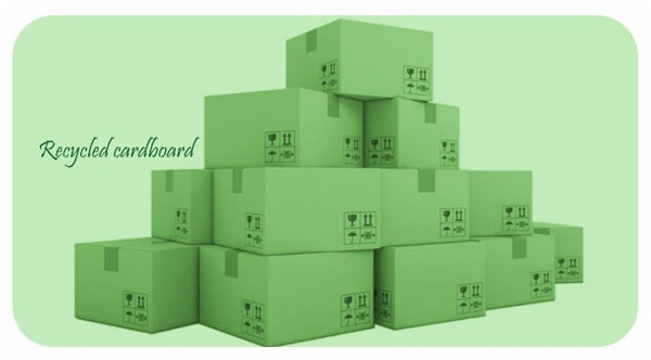 green leghorngroup green leghorngroup