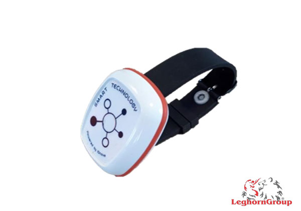 ABST Moda Wearable Tag RFID