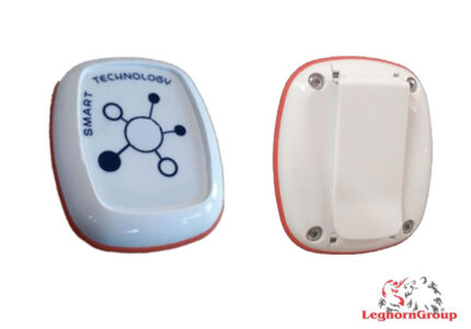 tag RFID attivo 2.4-2.5 GHz
